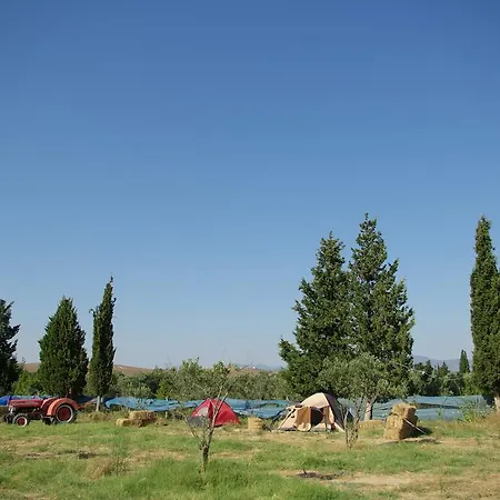 Teos Sanat Kampi Sigacik