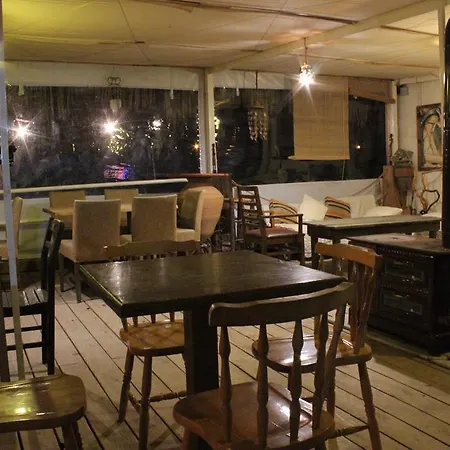 Kamp alanı Teos Sanat Kampi Siğacık