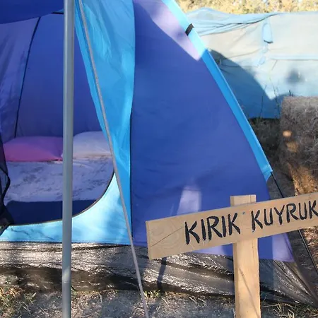 Teos Sanat Kampi Siğacık