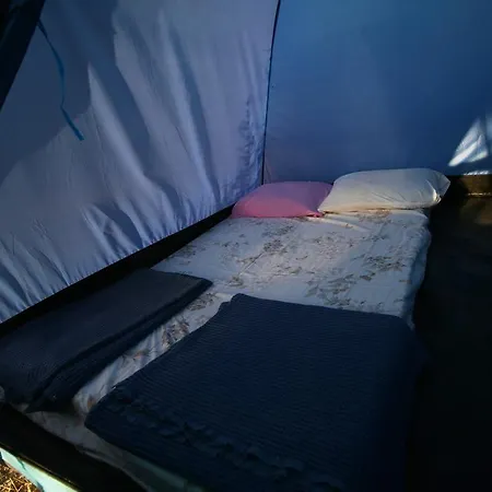 Teos Sanat Kampi Kamp alanı