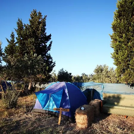 Teos Sanat Kampi Kamp alanı *