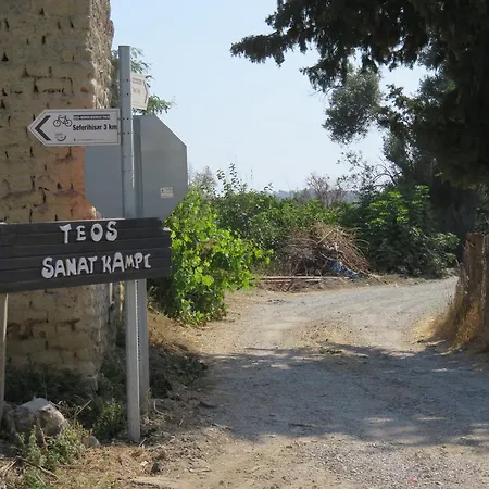 Teos Sanat Kampi Kamp alanı *