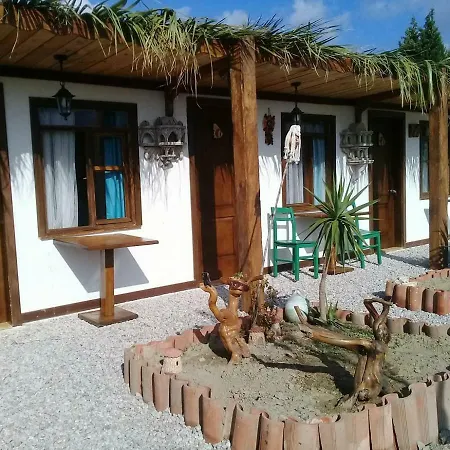 Teos Sanat Kampi Kamp alanı Siğacık