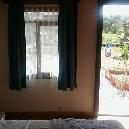 Teos Sanat Kampi * Siğacık